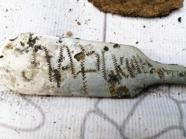 Артефакты с полей сражений будут представлены в Областной научной библиотеке